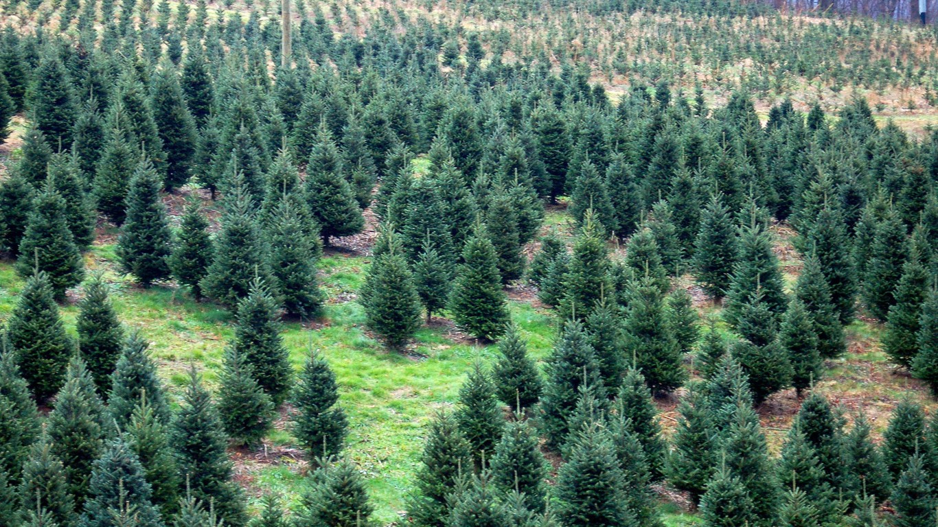 Oregon Grows More Christmas Trees Than Any Other State 24/7 Wall St.