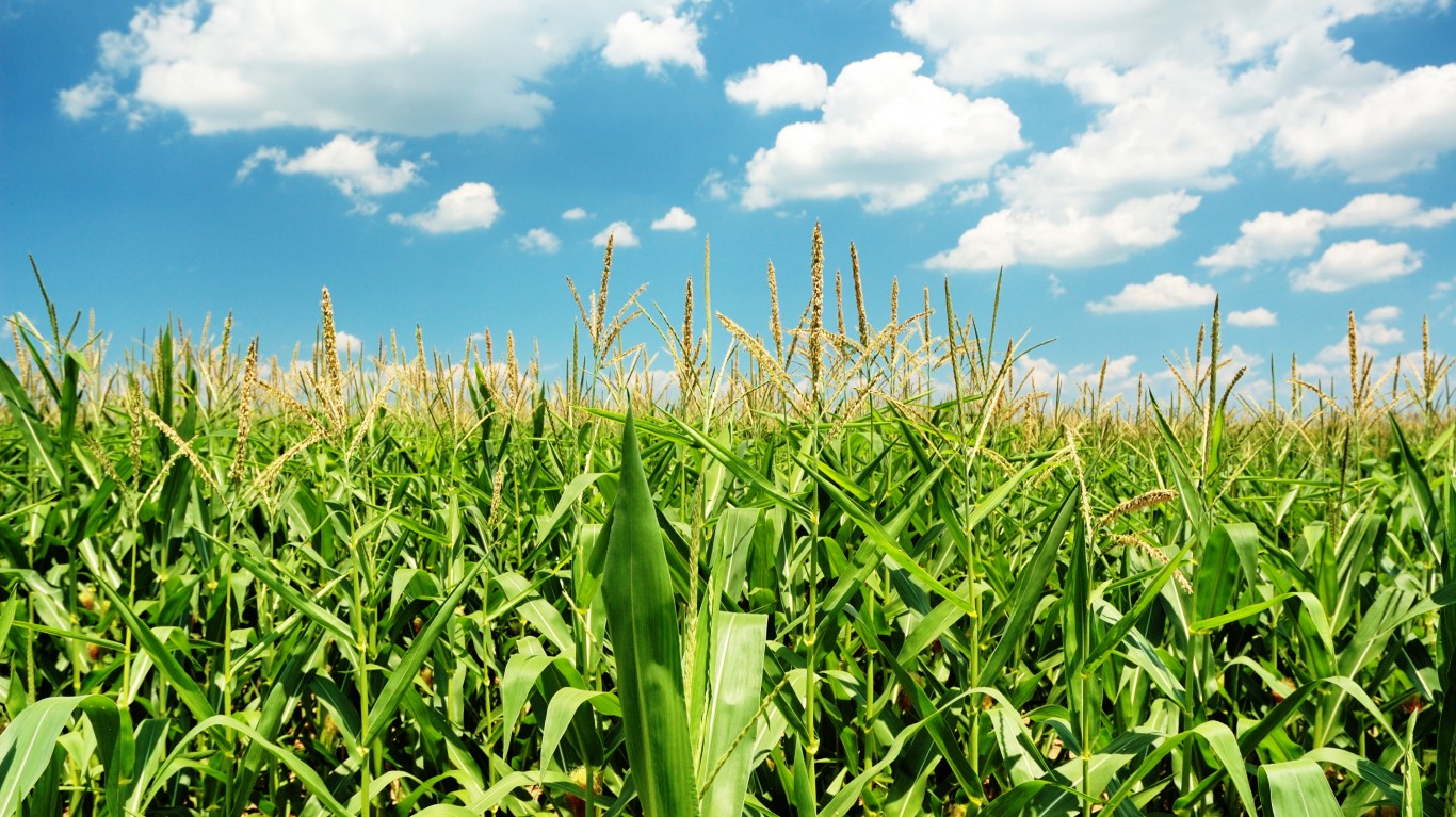 Why Are Agricultural Products Important To Our Country at Ruth Neal blog