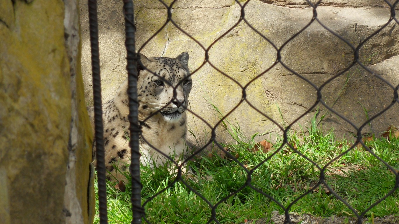 The Best Zoos in America Page 2 24/7 Wall St.