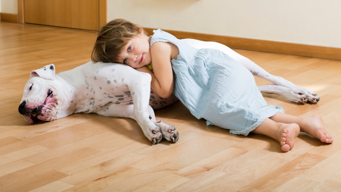 Dogs With the Shortest Lifespans 24/7 Tempo