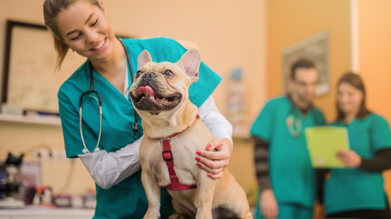 The Most Common Reasons People Take Their Dog to the Vet 24/7 Wall St.