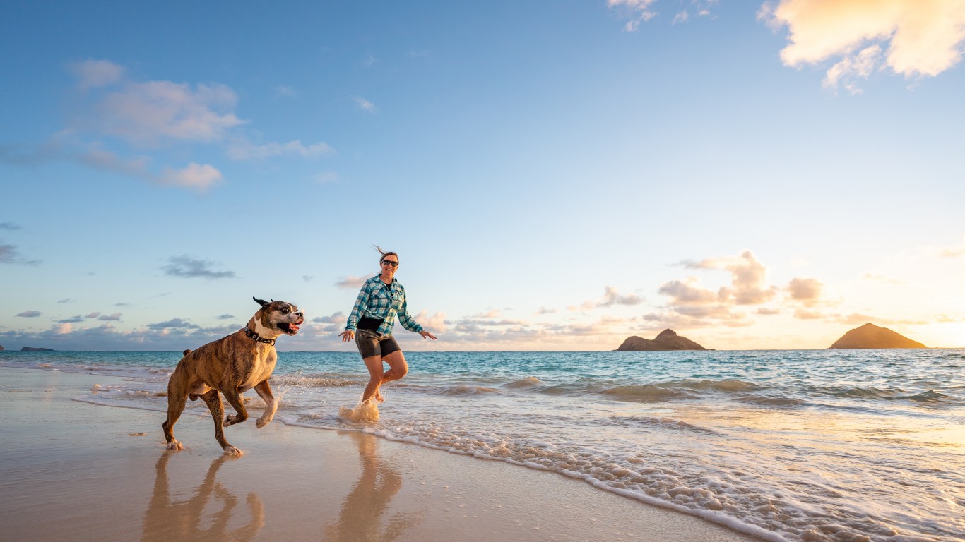 Most Popular Dog Breeds in America TrendRadars