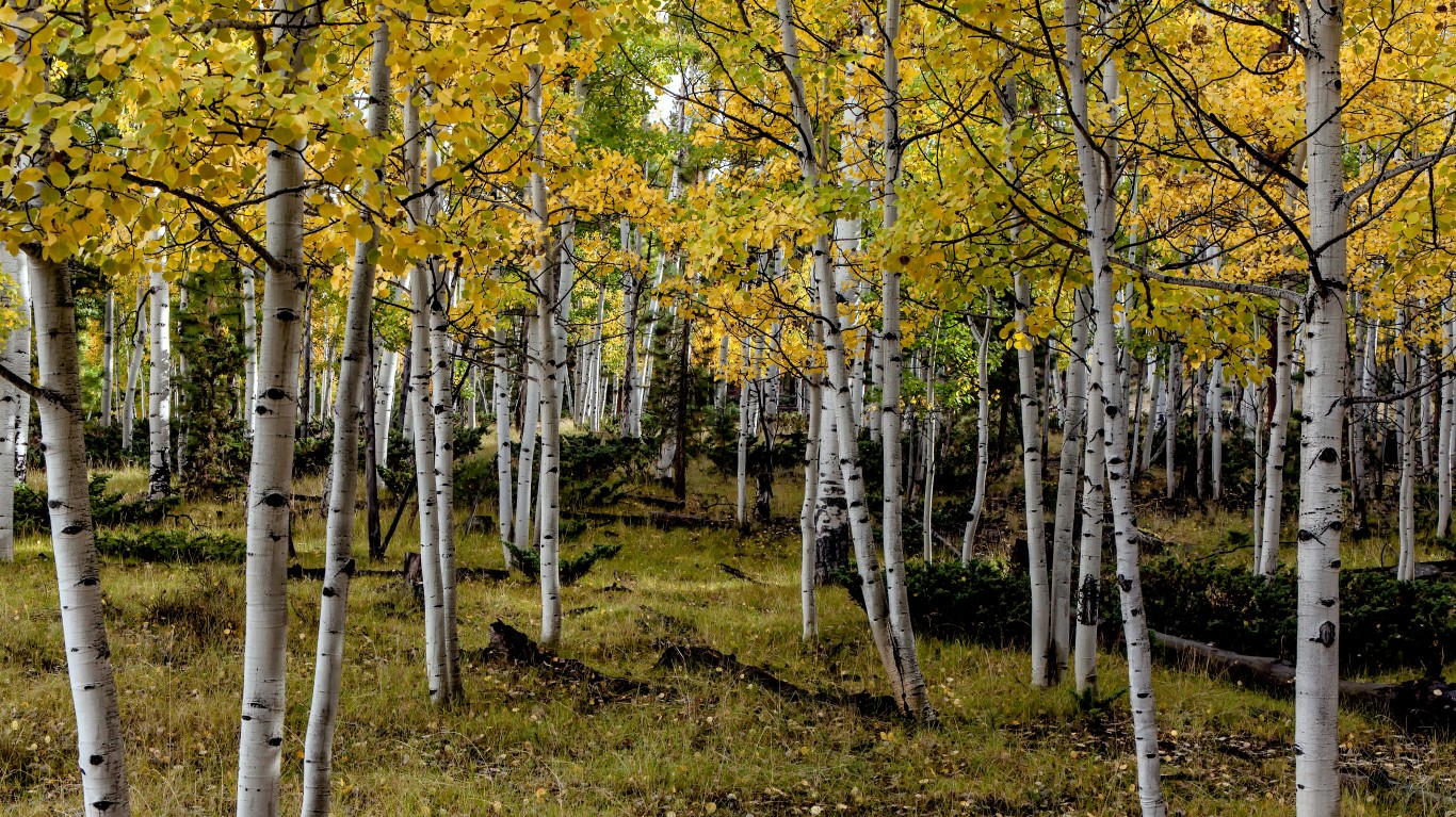 Most Popular American Hunting Destinations 24/7 Wall St.