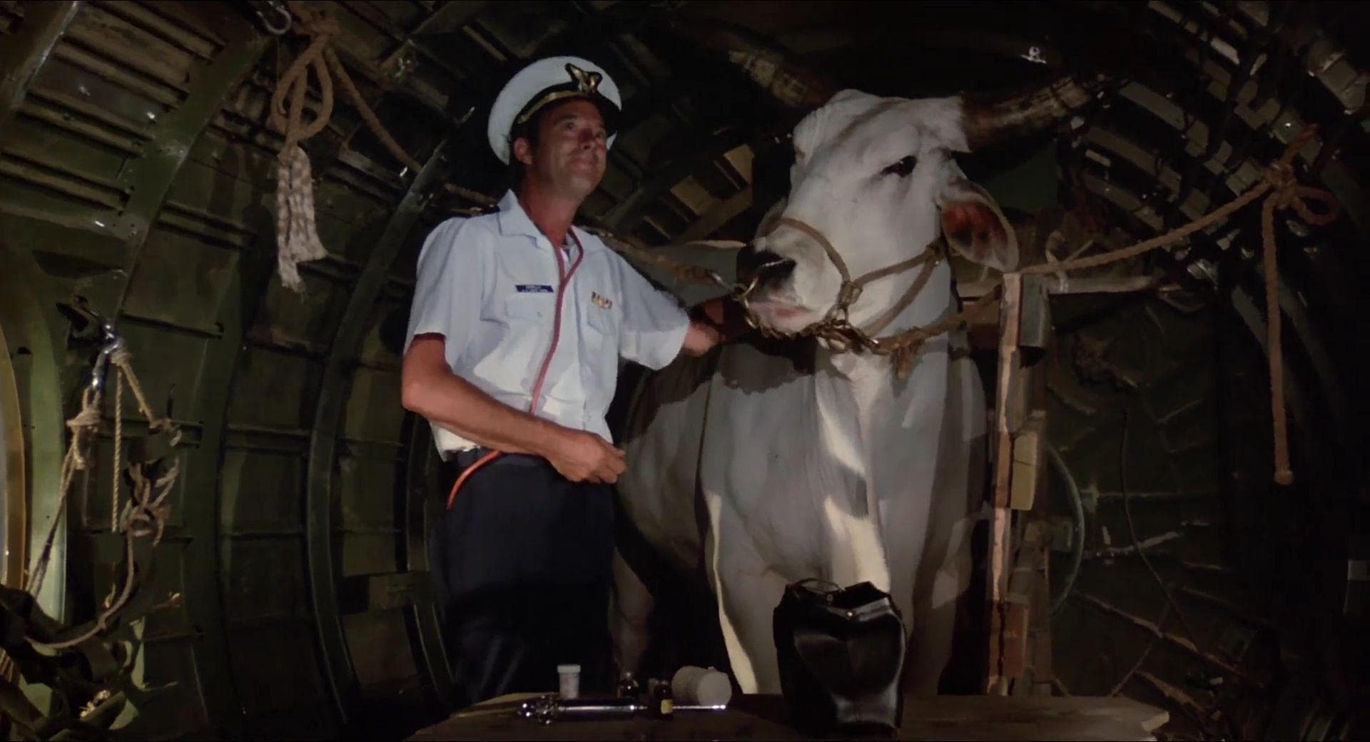 The Best Movies Set on the Ocean 24/7 Tempo