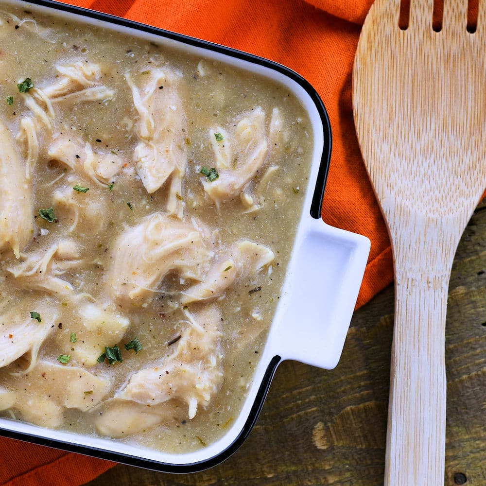 Crockpot Chicken and Gravy Gluten Free 24Bite® Recipes
