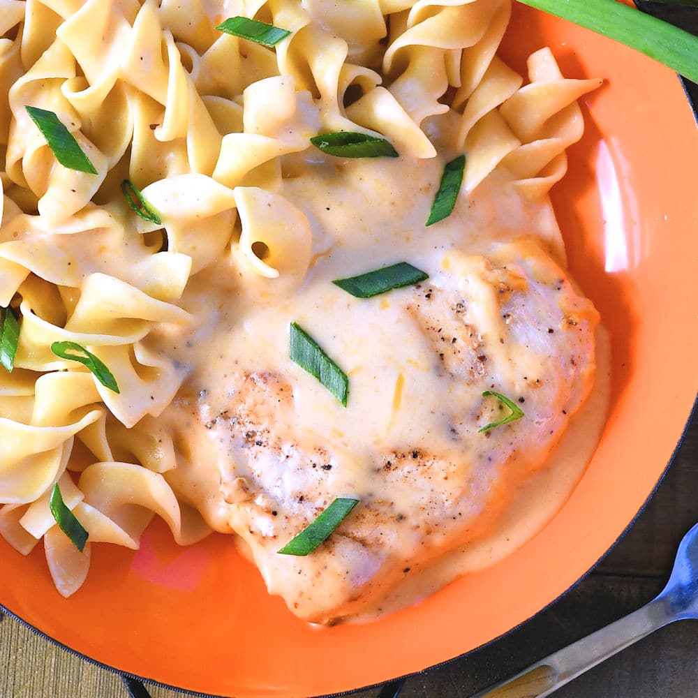 Easy Chicken Dinner with Creamy Cheese Sauce 24Bite® Recipes