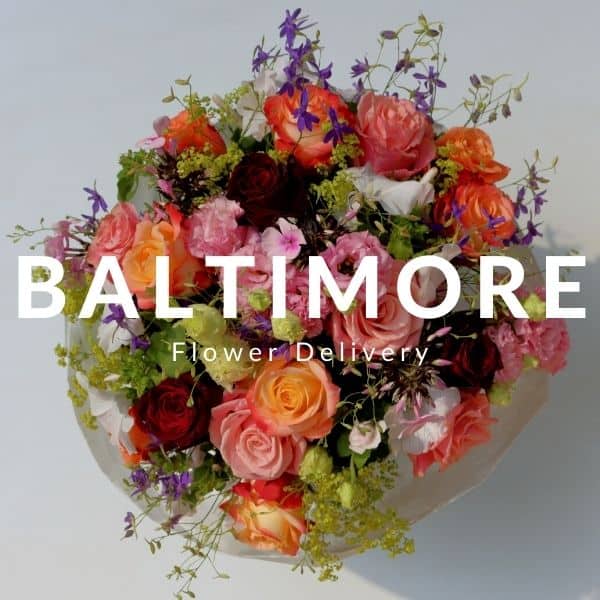Flower Delivery Baltimore MD SameDay 24blooms