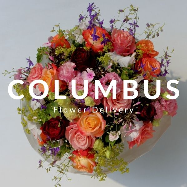 Flower Delivery Columbus SameDay 24blooms