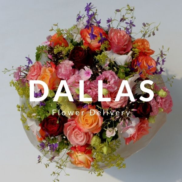 Flower Delivery Dallas SameDay 24blooms