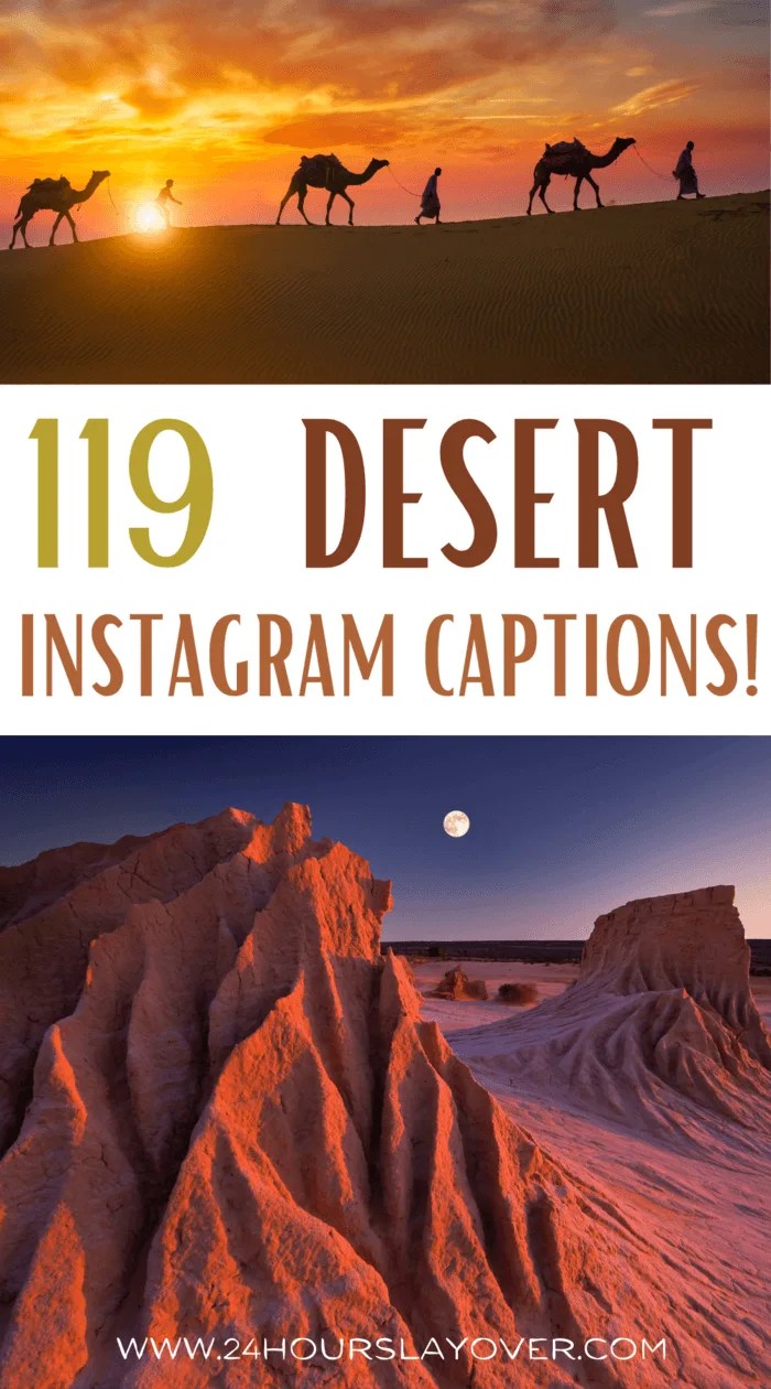 119 Desert Captions, Desert Puns & Desert Quotes For Instagram! 24