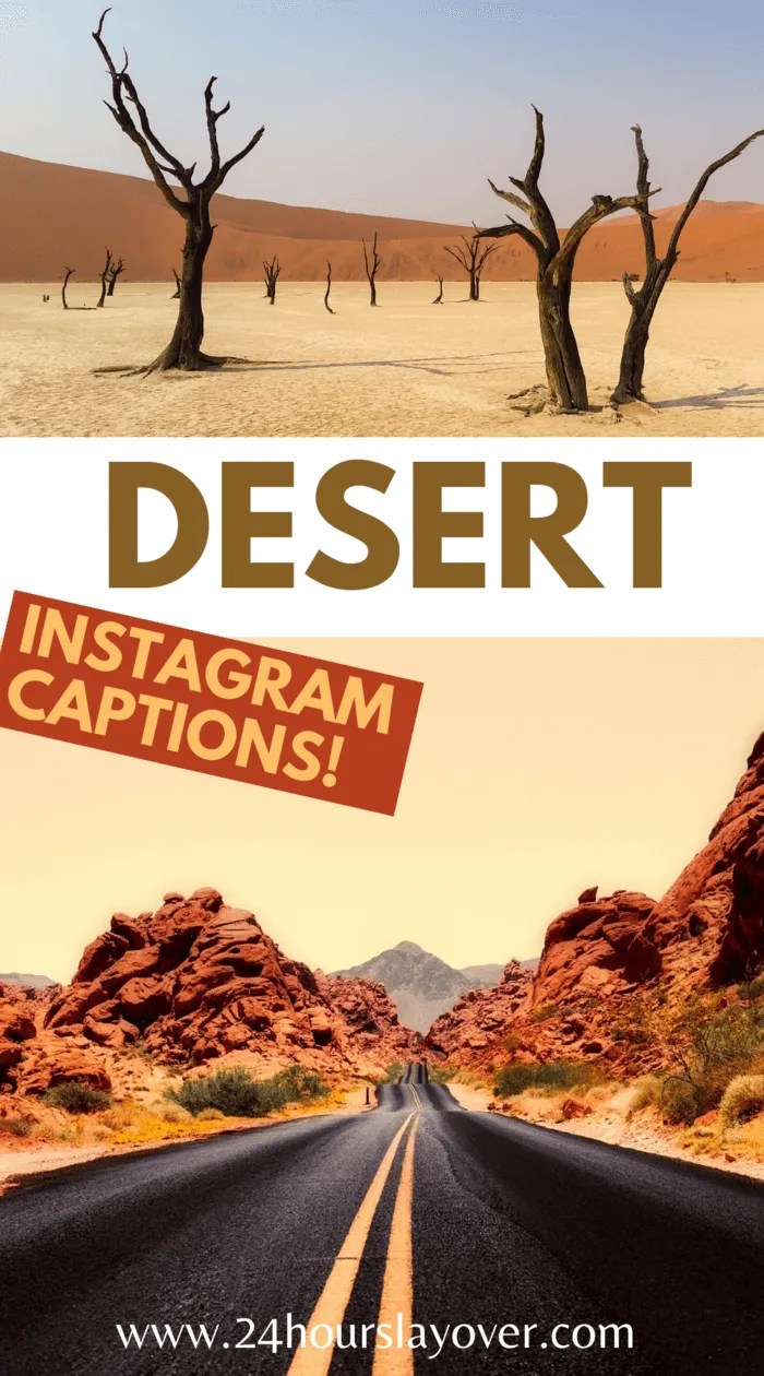 119 Desert Captions, Desert Puns & Desert Quotes For Instagram! 24
