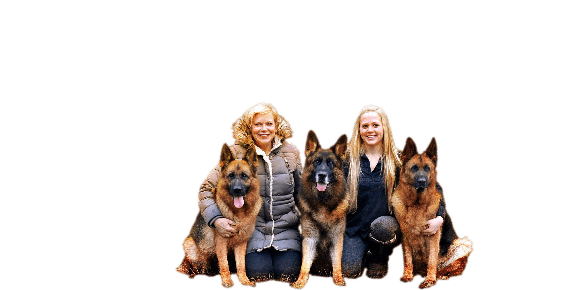 German Shepherd Breeders in Michigan List of 5 Local Breeders