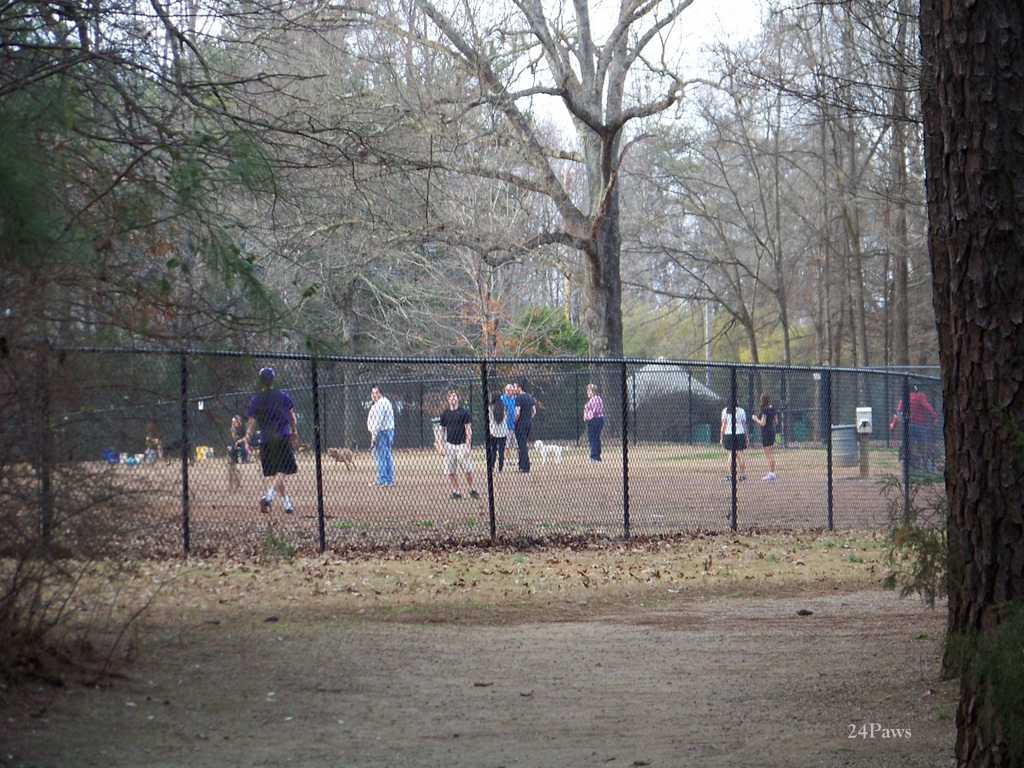 Dog Park Barkingham Park at Reedy Creek Park, Charlotte, North