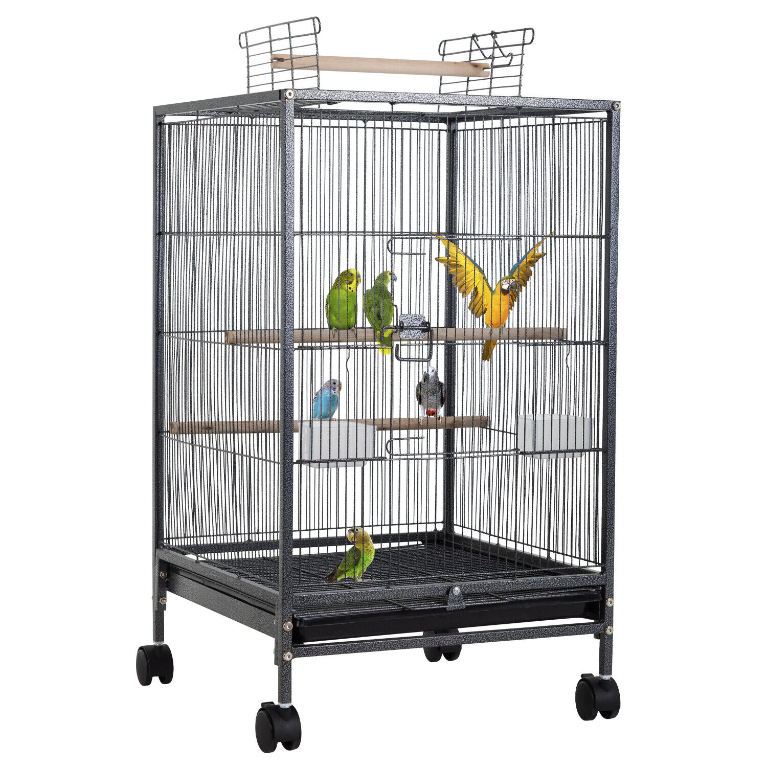 Plastic Bird Show Cages at Richard Sanchez blog