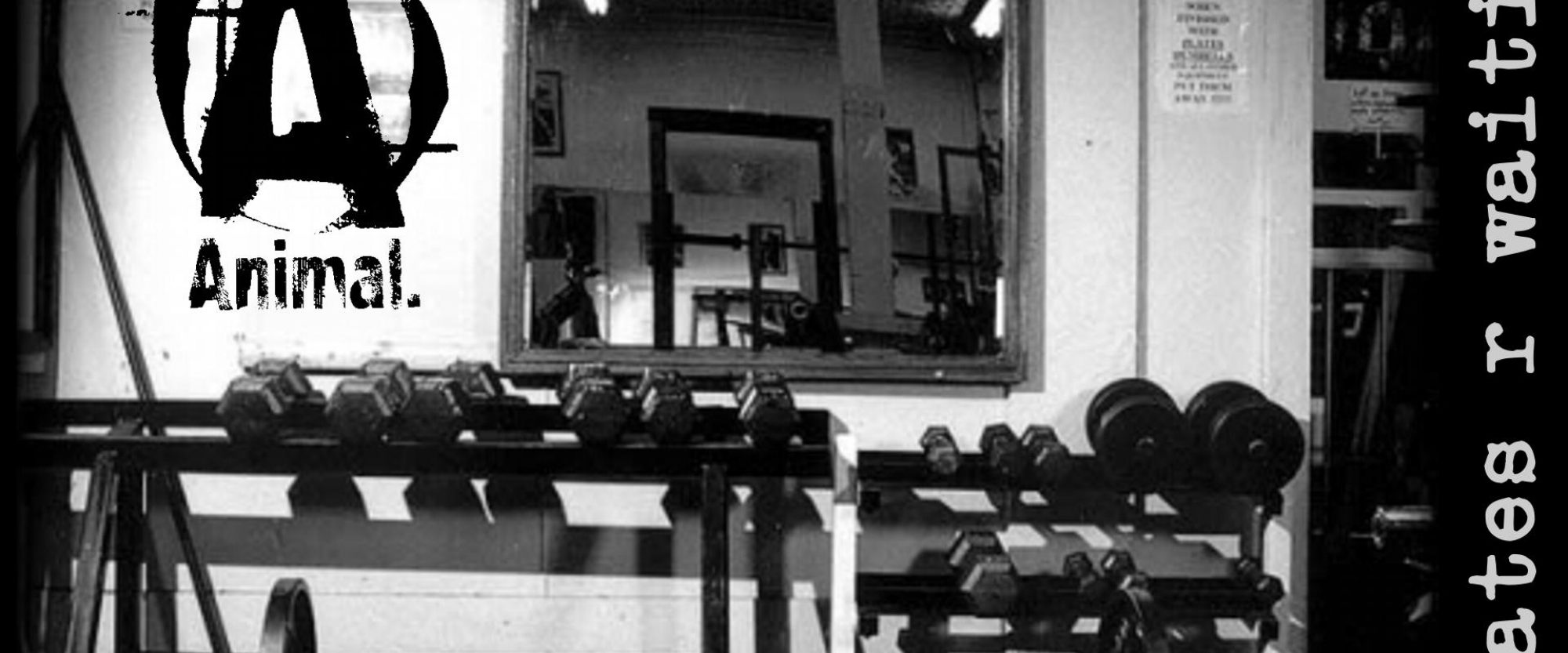 integratori per massa muscolare Scopri il fatto su