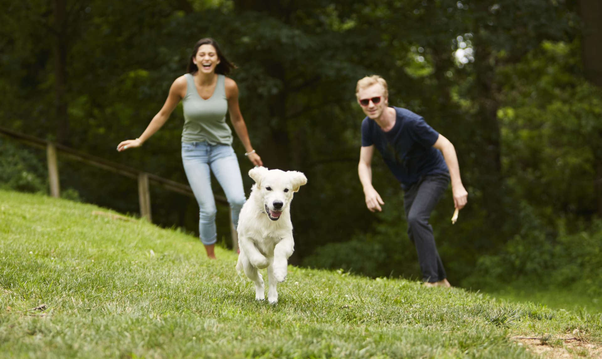 PetFriendly Apartments in King of Prussia 251 Dekalb