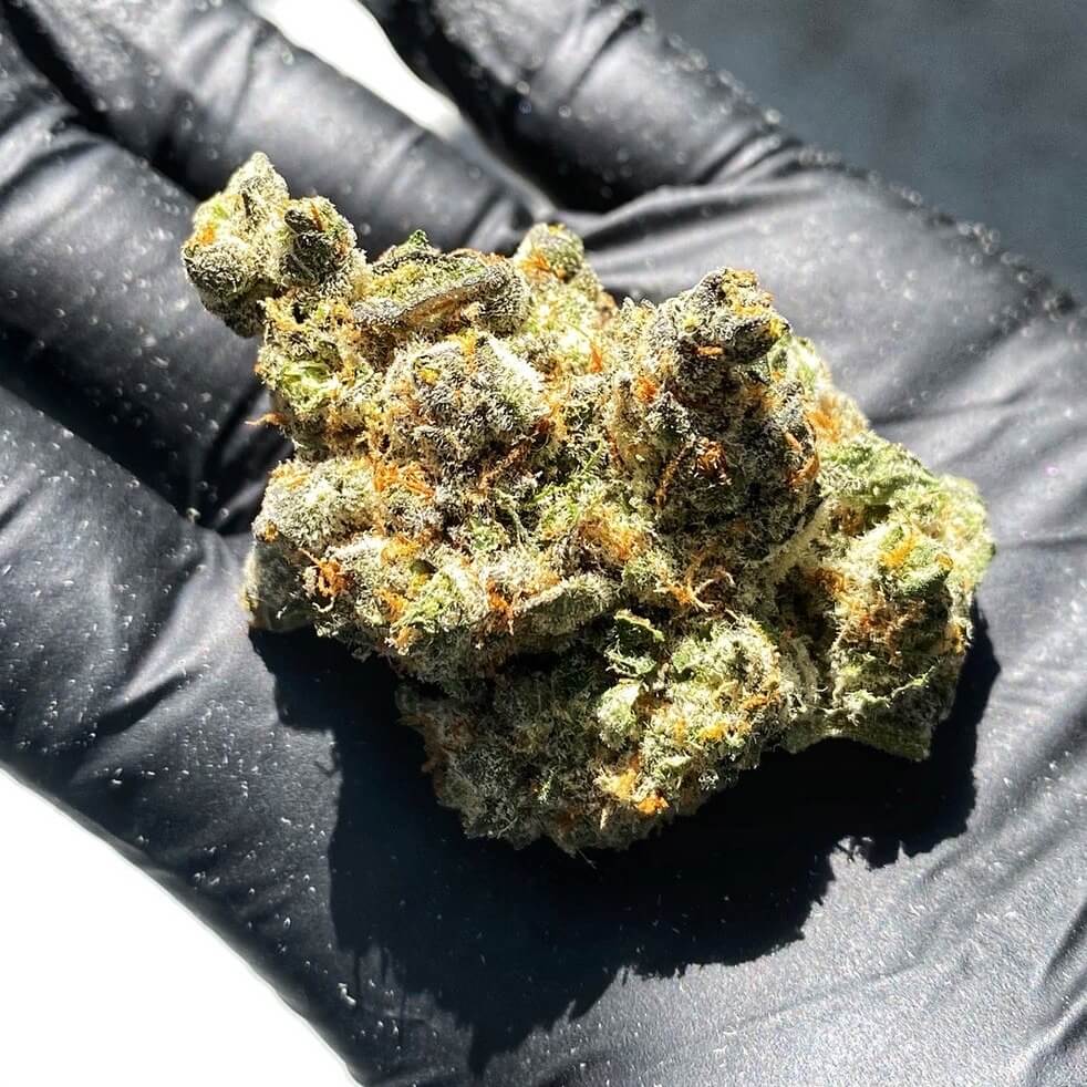 Mint Cake Marijuana Strain 253 Flower Spec Sheet