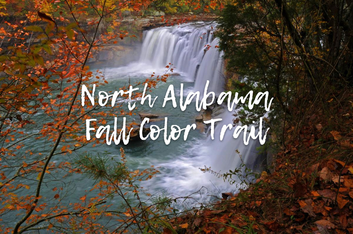 Best spots to view fall foliage in North Alabama 256 Today