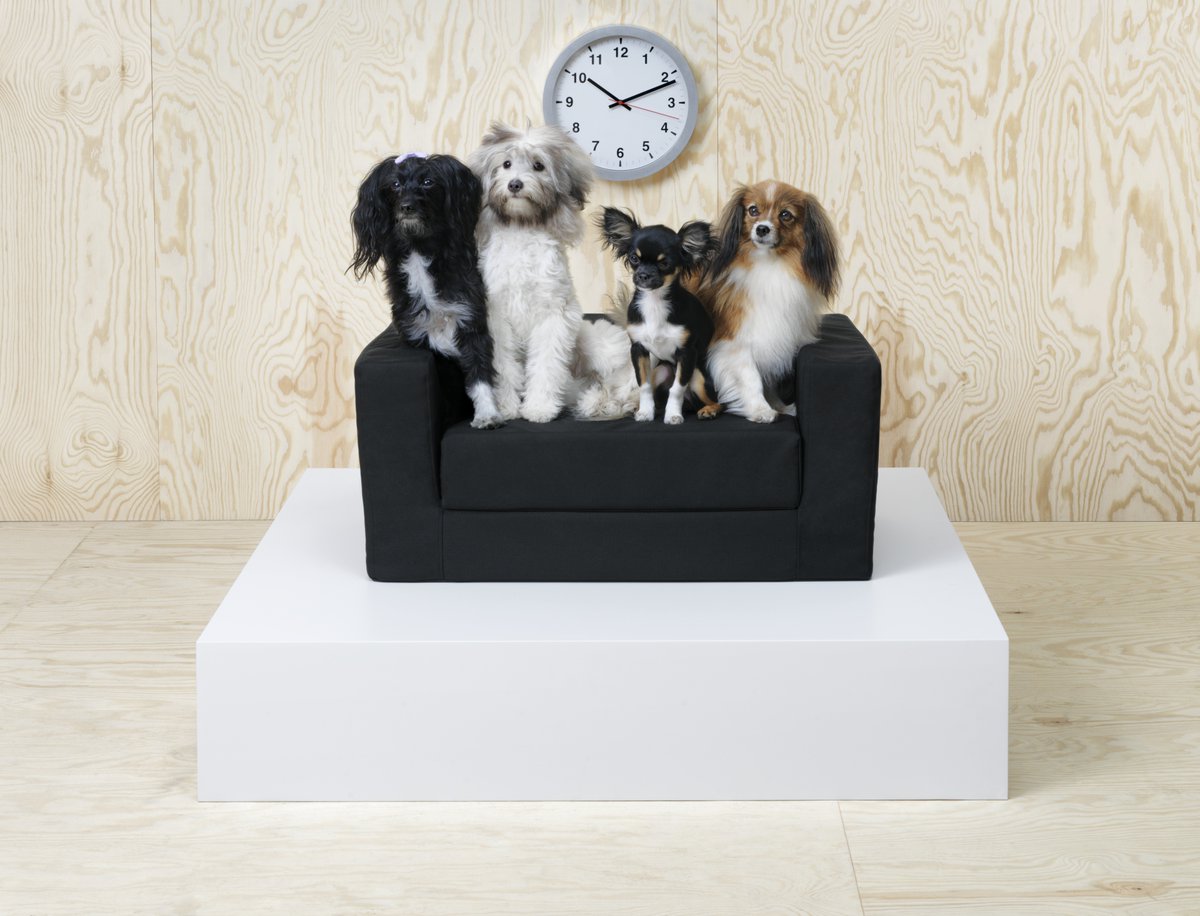 Lurvig, la colección de IKEA para mascotas 25 Gramos