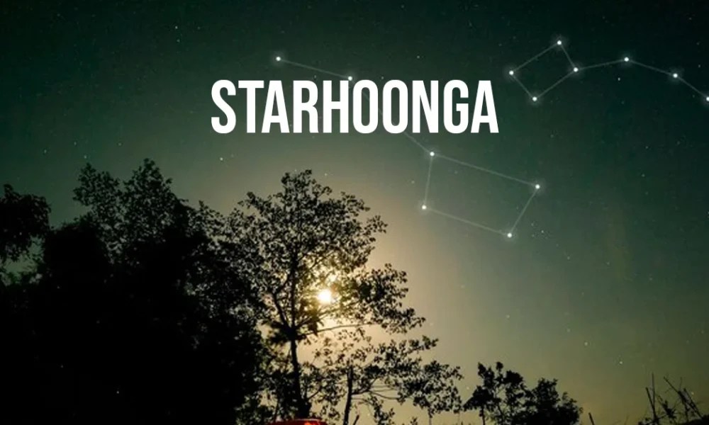 Starhoonga Unlocking Unique Insights And Opportunities