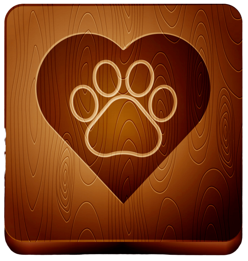 PROFESSIONAL PET STAIN REMOVAL SERVICES IN NYC ORGANIC NYC