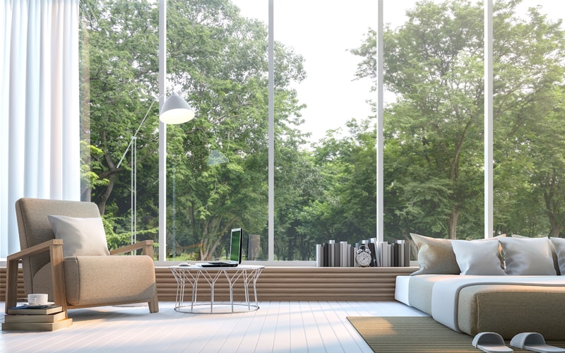 Organic Sofa Cleaning Nyc Baci Living Room