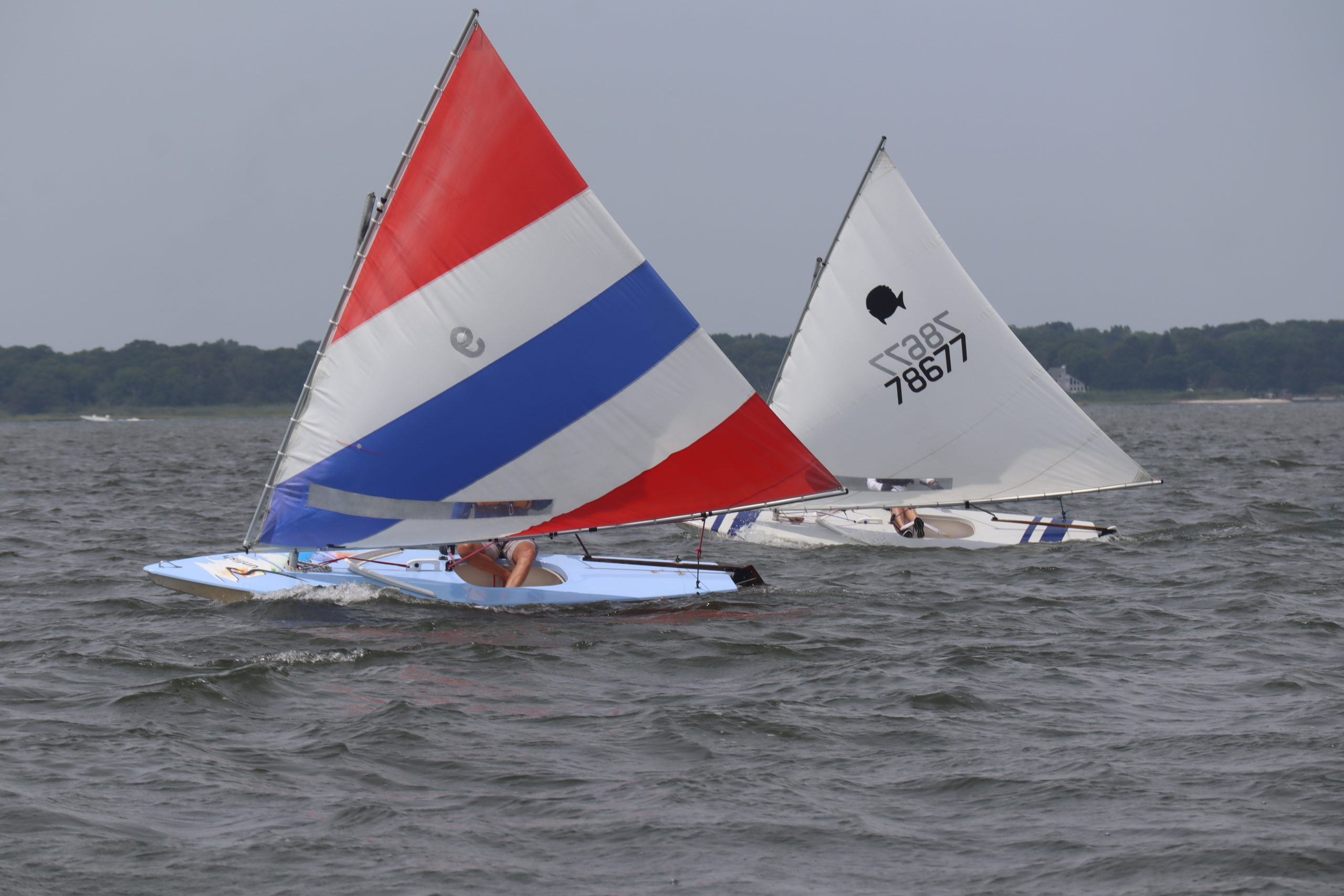 Westhampton Yacht Squadron Hosts Fenner Cup, GSBYRA Sunfish