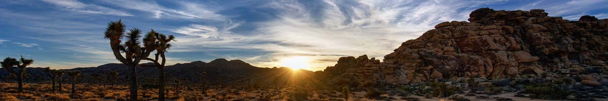 Payment Options Twentynine Palms Water District