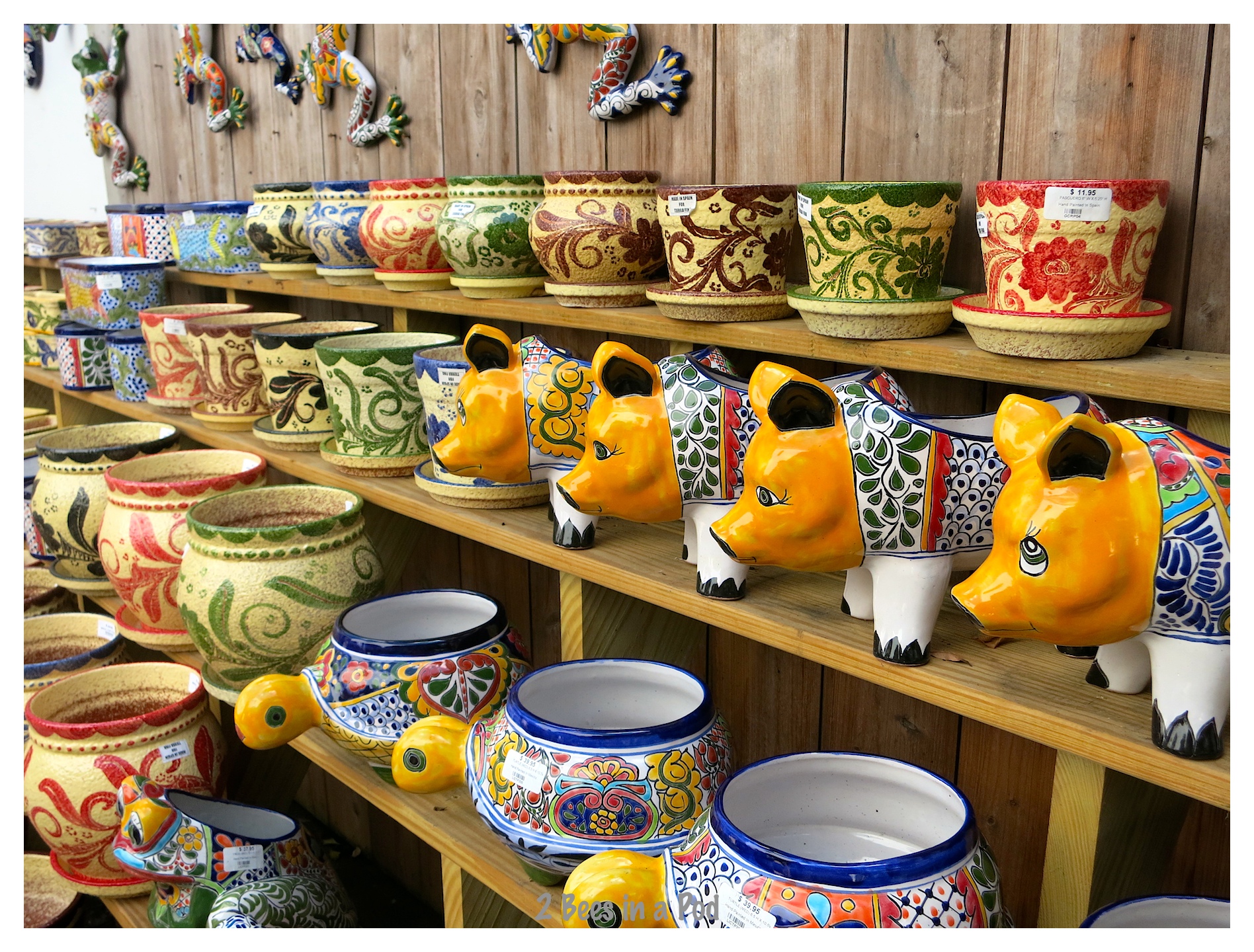 Wish I were here...St. Augustine, Florida 2 Bees in a Pod