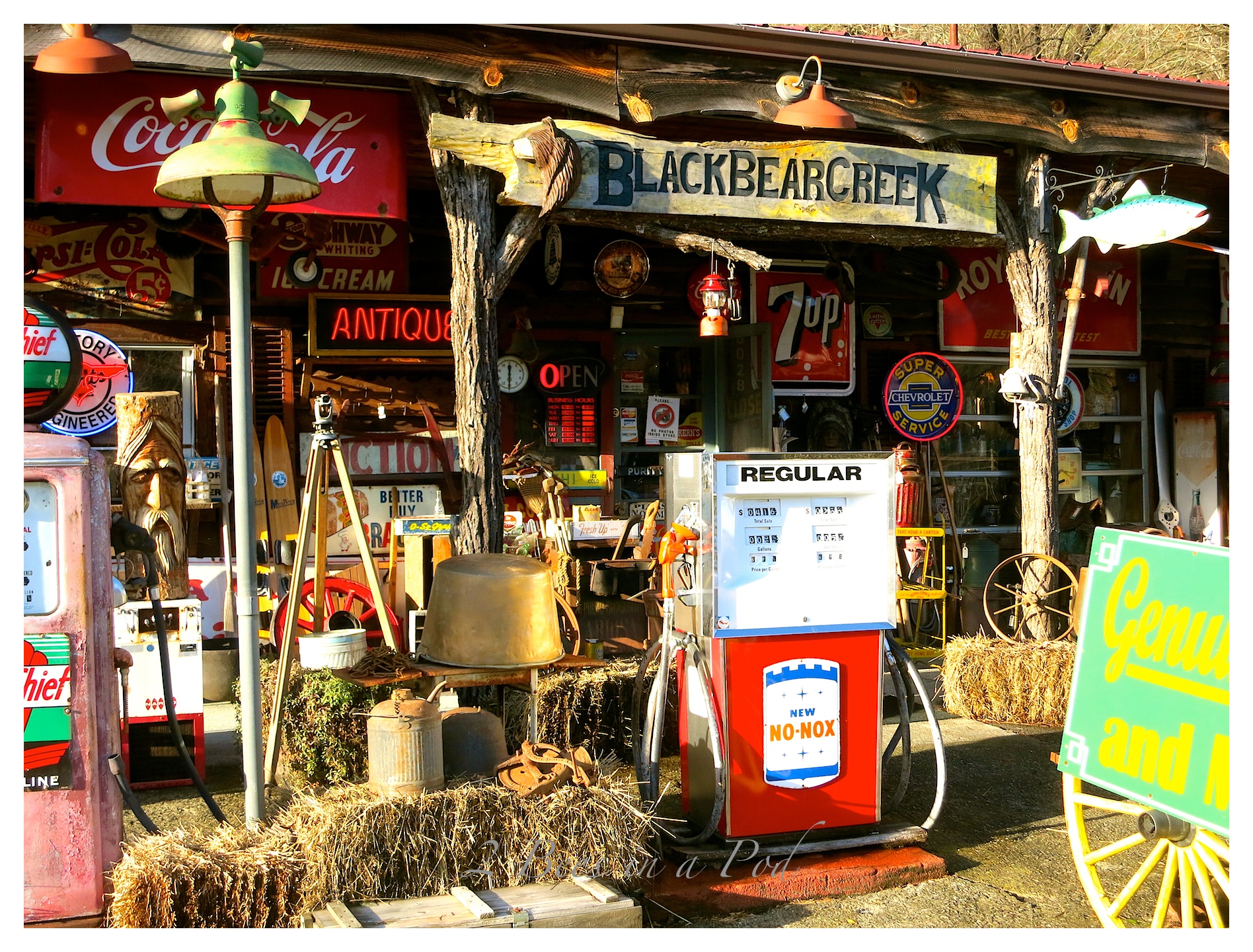 Day Trip...Clayton, Part One 2 Bees in a Pod