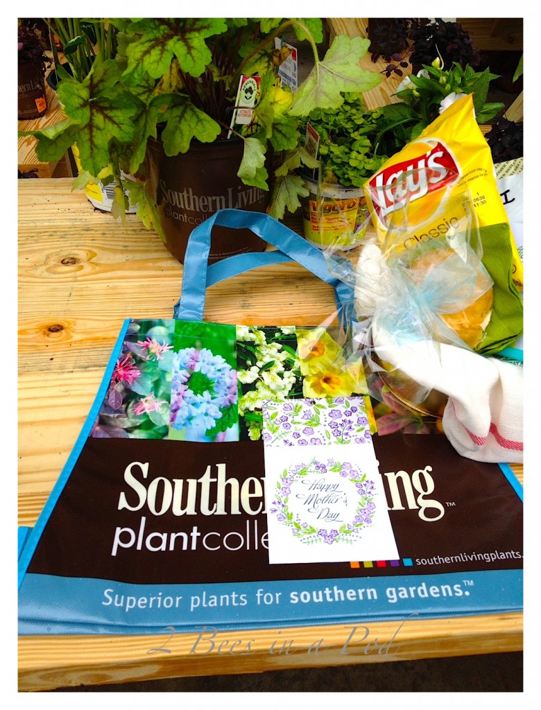 Southern Living Plant Collection and Home Depot... 2 Bees in a Pod