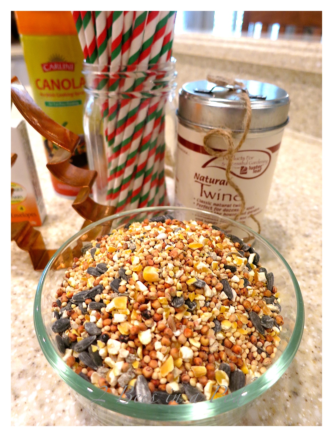 DIY Birdseed Cakes... 2 Bees in a Pod