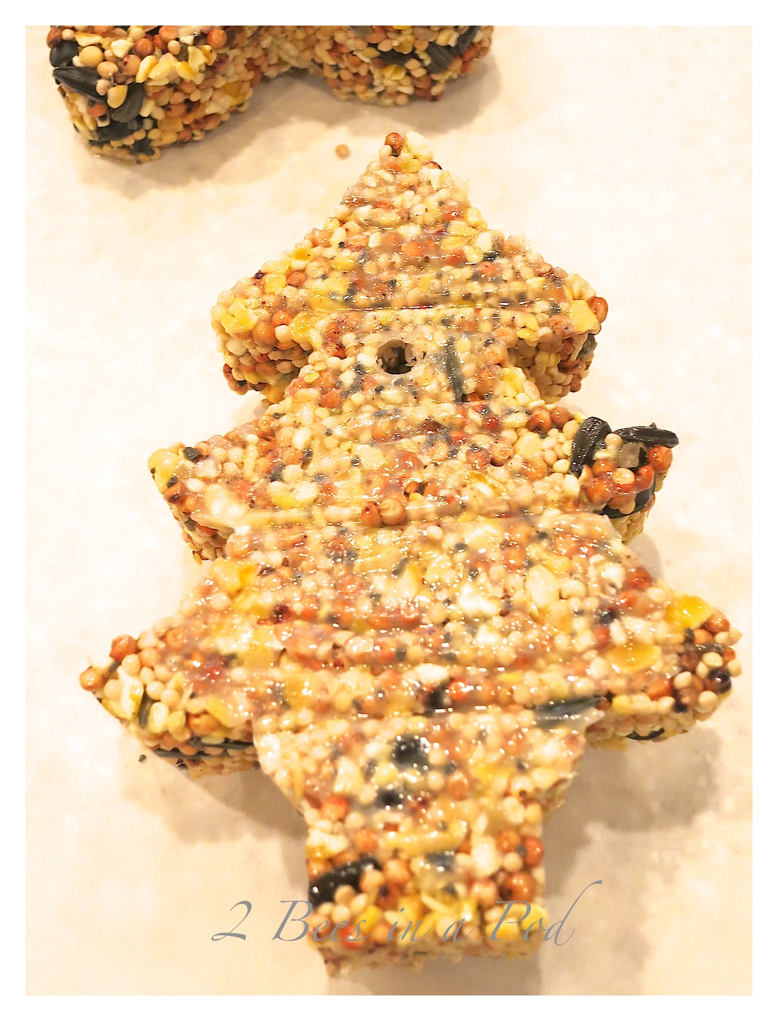 DIY Birdseed Cakes... 2 Bees in a Pod