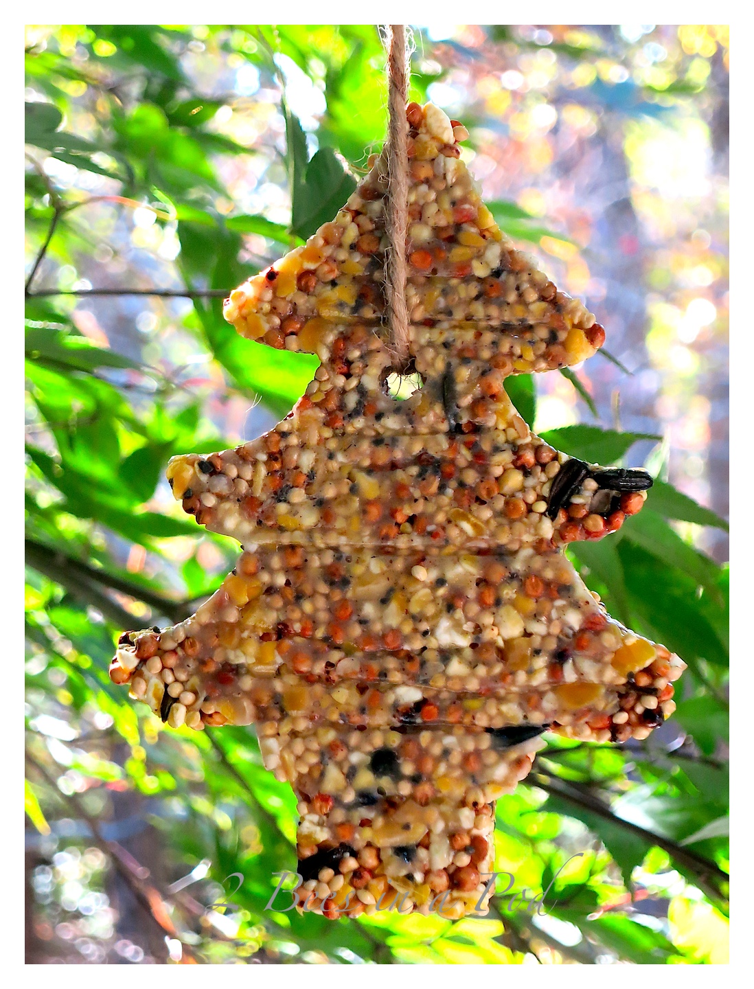DIY Birdseed Cakes... 2 Bees in a Pod