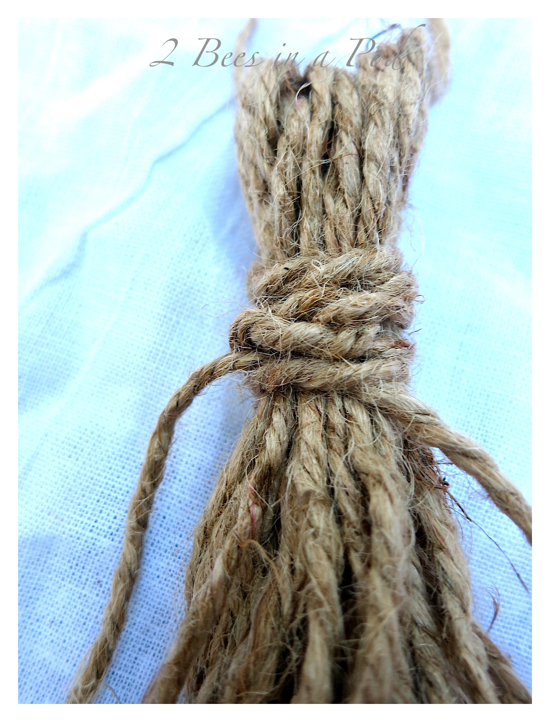 DIY Jute Tassel... 2 Bees in a Pod