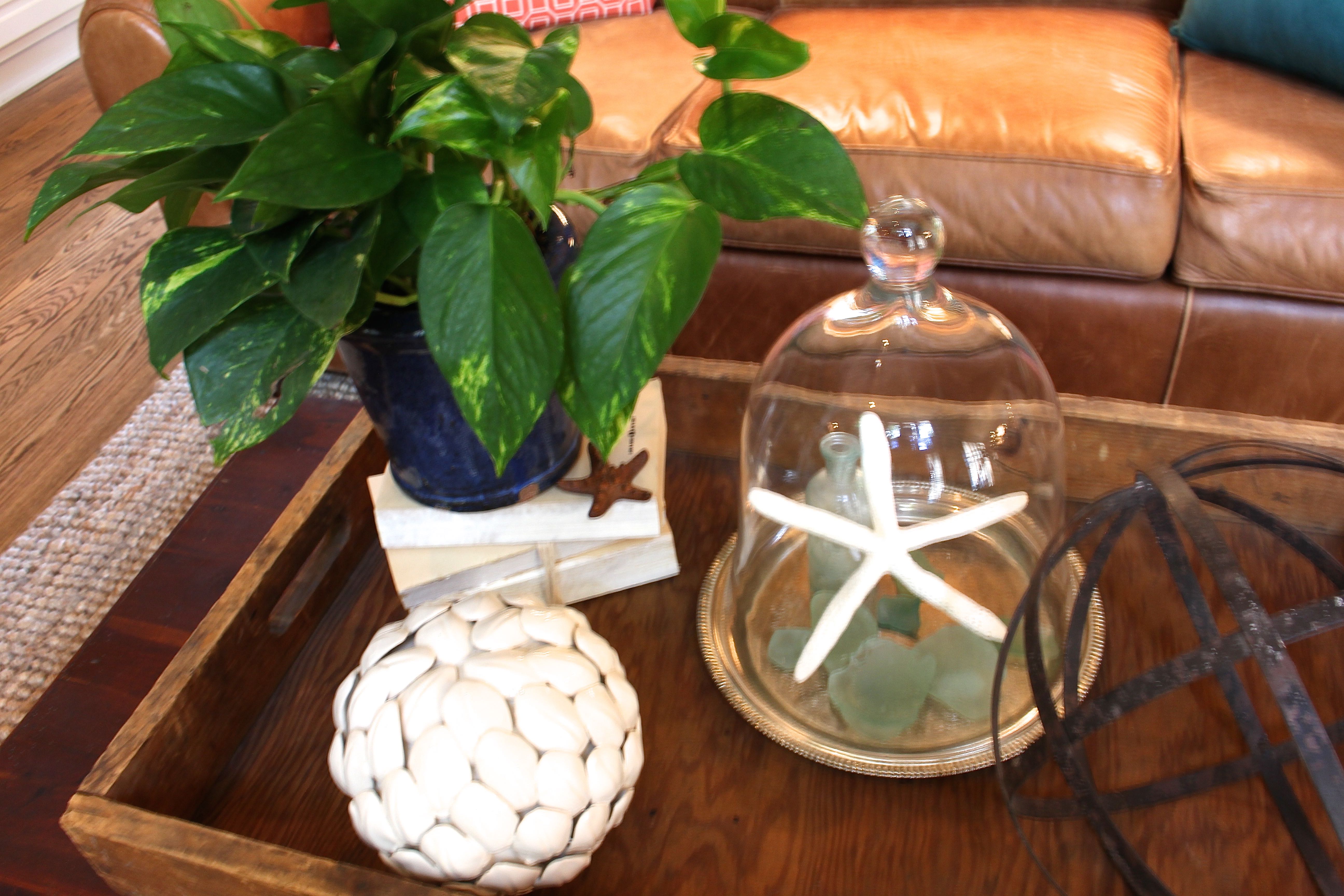 Coastal Inspired Coffee Table Decor 2 Bees in a Pod