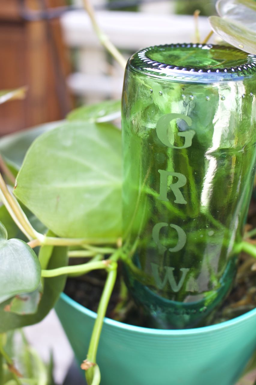 DIY Etched Plant Water Bottle 2 Bees in a Pod
