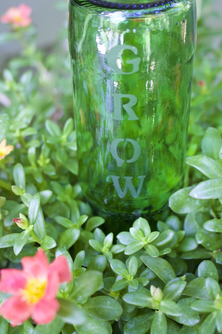 DIY Etched Plant Water Bottle 2 Bees in a Pod