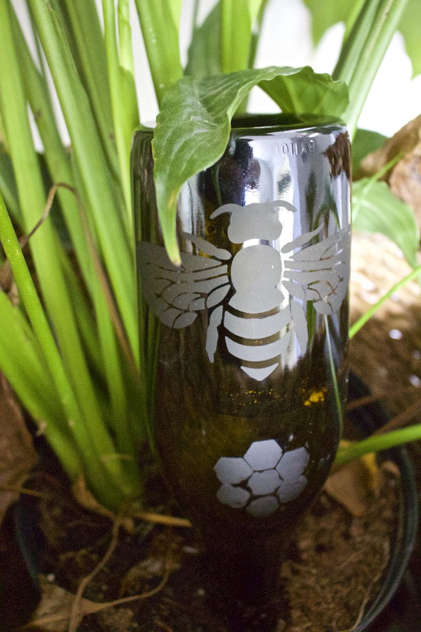 DIY Etched Plant Water Bottle 2 Bees in a Pod