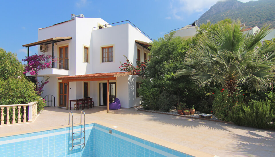 Kiziltas Black Lion Property