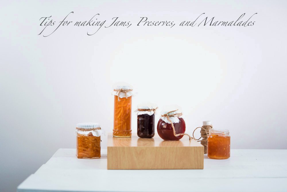 All About Marmalade /Jam 2blissofbaking