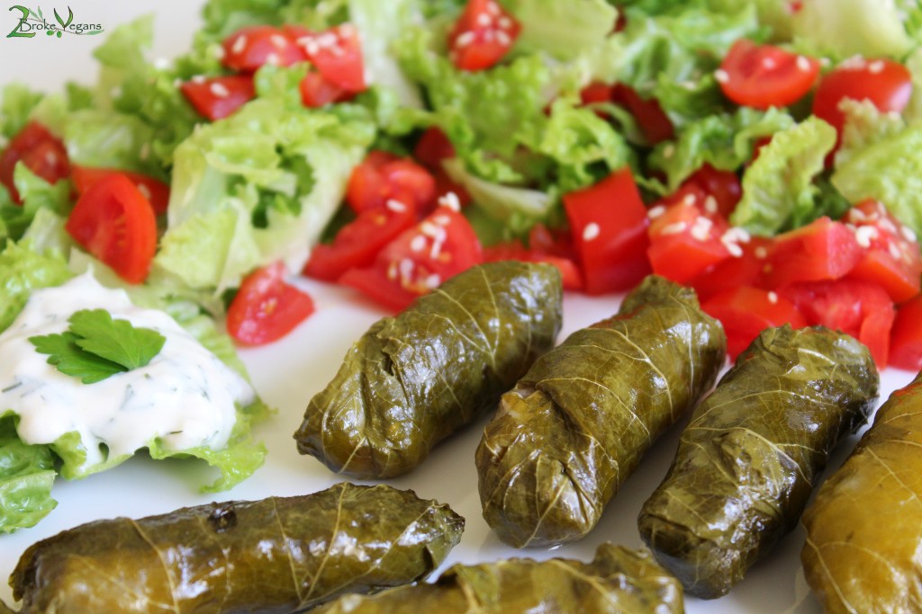 Recipe Greek Stuffed Vine Leaves Dolmadakia TMRZoo