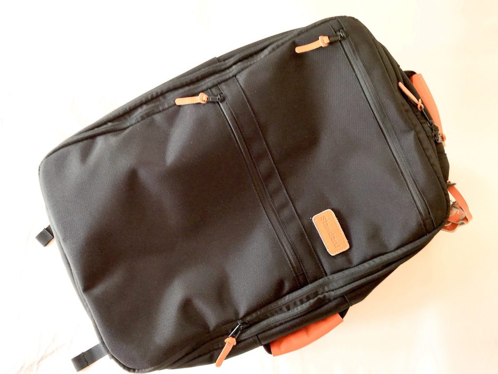 Carryon Luggage That Converts Into A Backpack 2 Dads with Baggage
