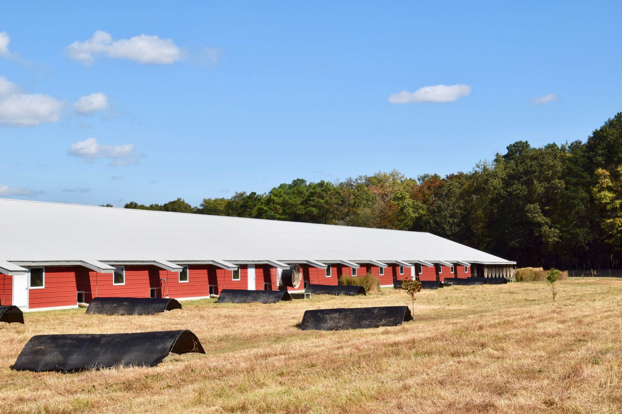 Do You Care About Global Sustainability? Perdue Farms Does.