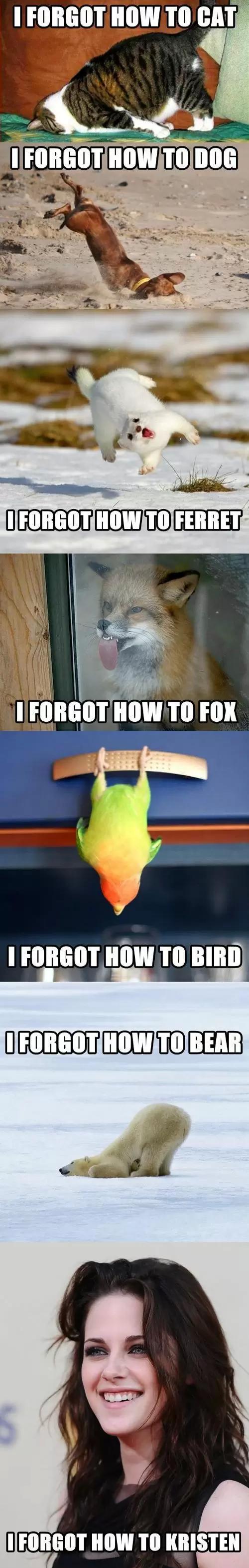I How To Meme