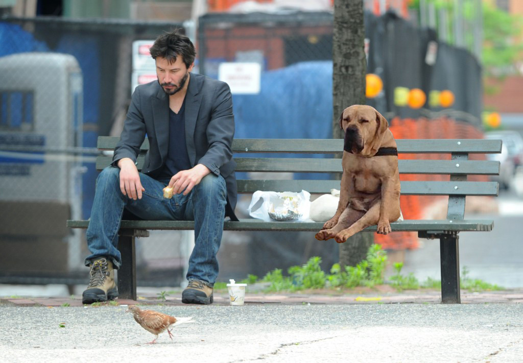 Keanu Reeves & Sulking Dog Have a Sad Moment Together