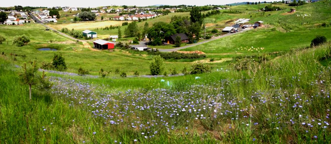 PalouseClearwater Environmental Institute Nature Center 2dnw Artisan