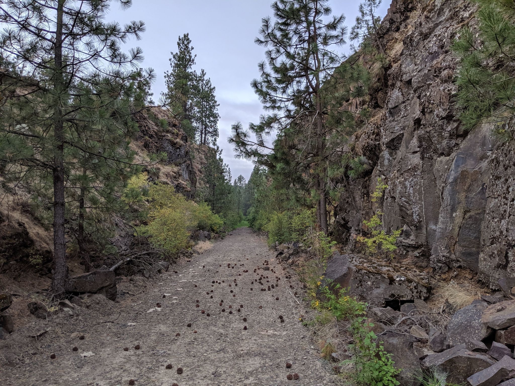 John Wayne Pioneer Trail Ewan to Tekoa 2dnw Artisan Trail Guide