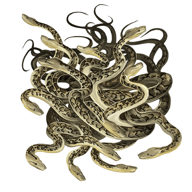 Rat Snake Swarm Monsters Archives of Nethys Pathfinder 2nd Edition