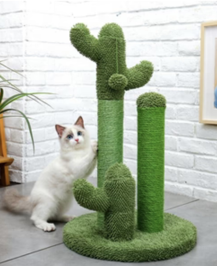 Cat Furniture for Royalty Exploring with the Essential Cat Lady